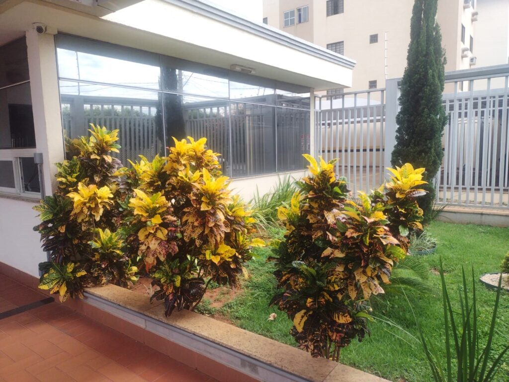 Vende-se Apto no Jd. Vetorasso $ 350.000,00