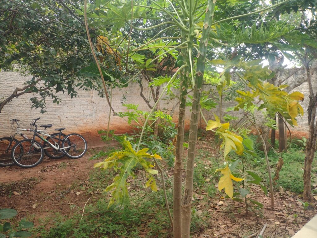 Vende-se ótima casa no Jd, das Oliveiras $ 175.000,00