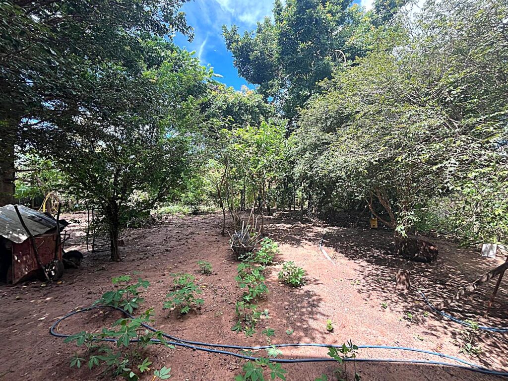 Vende-se chácara no Vista Alegre II ( Vila Azul ) $ 650.000,00
